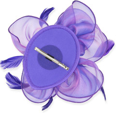 DRESHOW Fascinators Hat Tea Party Headwear Ribbons Feathers on a Headband and a