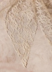 LFOUVRE Womens Hair Accessories – Lace 1 Count (Pack of 3), Beige/Black/Bean
