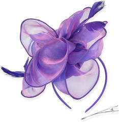 DRESHOW Fascinators Hat Tea Party Headwear Ribbons Feathers on a Headband and a