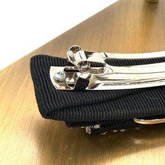 Salvatore Ferragamo Barrette with Vara Ribbon, Jewels, and Logo