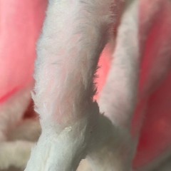 Plush Bunny Ears Headband Set 2pc White Pink Easter Costume Accessory