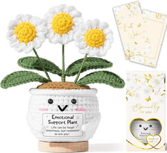 Emotional Support Crochet Positive Daisy Flower Get Well Gifts for Women, Thinki