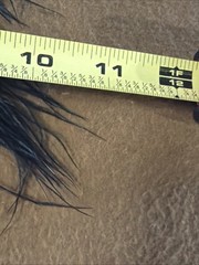 Sajeela Feathered & Fringe Barrette Vintage Black & White