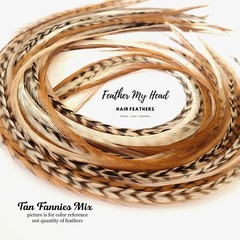 Feather Hair Extensions, 6 Pc, Optional Kit, Short – Mega Long, Tan Fannies