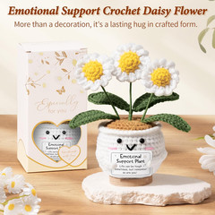 Emotional Support Crochet Positive Daisy Flower Get Well Gifts for Women, Thinki