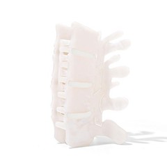 Premium White Acetate Spine Hair Claw Clip | Anatomically Correct Vertebrae D…