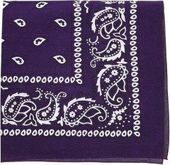 Motique Accessories Extra Large Paisley Bandana 27×27 Inch
