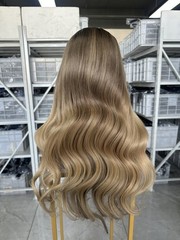 22″ Straight BL-01 180% Density 5*5 hd Lace Closure Wig human hair for women