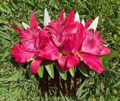 Hawaii Design Plumeria Layered Multicolored Tropical Foam Hair Clip Beach Luau