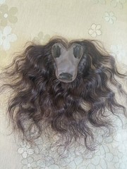 3″x4″ Invisible Thin Lace Front Wavy 100% Real Human Hair Topper Clip in 25cm