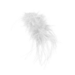 Lightweight Feathered Hair Clip Accessory Adds A Touch Of Whimsy To Any Outfit