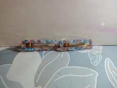 Resin Hair Clips