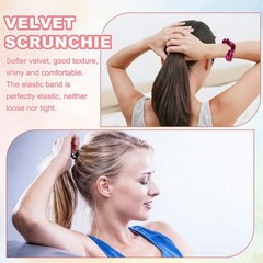 2 Pcs Velvet Scrunchie with Pocket Zipper Sequin Elastic Hair Ties Gold