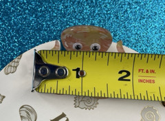 PIPER K Hair Claw Clip Sea Life Water Clown Fish Octopus Whale Set/3 NEW