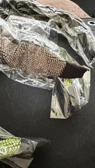 Beaded Rhinestone Headbands Gold Brown Green Fabric Women’s Hair Accessories