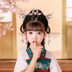 Chinese Hanfu Hair Jewelry Flower Tassel Hairpin Hairclip Crown Bridal Headdress