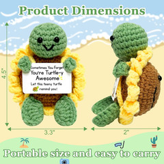 Positive Turtle Christmas Birthday Gifts for Women Men – Stocking Stuffers for T
