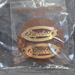 Vintage Goldtone Oval Shaped Womens Name “Elizabeth” Hair Clips Barretts