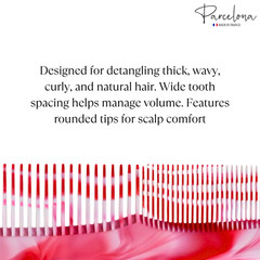 Parcelona French Small 5.25″ Pocket Hair Comb for Women, Men for Daily Grooming