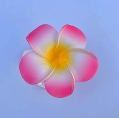 Hawaiian Design Plumeria Tropical Hair Clip Beach Luau Foam Accessories