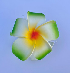 Hawaiian Design Plumeria Tropical Hair Clip Beach Luau Foam Accessories