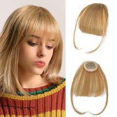 Bangs Hair Clip in Bangs 100% Real Human Hair Extensions French Bangs Clip on Ha