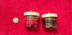 spiral coil hair band 8 pc multicolor