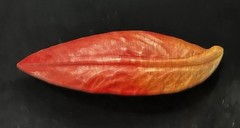 Vintage Wooden Texture Fall Leaf Barrette Hair Clip Made in France