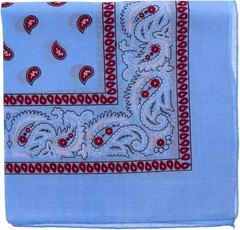 Motique Accessories Two Tone Paisley Bandana