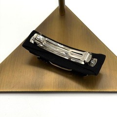 Salvatore Ferragamo Barrette with Vara Ribbon, Jewels, and Logo
