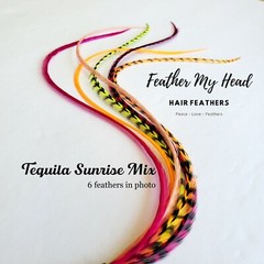 Feather Hair Extensions, 6 Pc, Optional Kit, Short – Mega Long, Tequila Sunrise