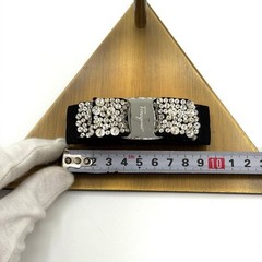 Salvatore Ferragamo Barrette with Vara Ribbon, Jewels, and Logo