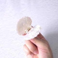 Shell Claw Clip,Acetate Hair Clips,Small 1 Count (Pack of 1), White
