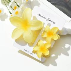 3Pcs/18Pcs Egg Flower Hair Clips Gradient Candy Color Flowers Suitable for Daily