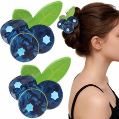 2 PCS Fruit Hair Claw Clips for Women Girls Cute 1 Count (Pack of 2), Blue