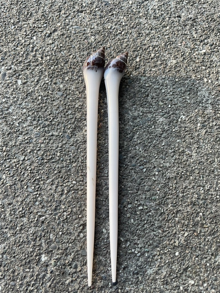 2 Shea Shell Hair Pin Bali 7 Inches Tall