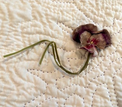Vintage Hat Millinery Flower Paris Flea Market -Hand Painted Velvet Pansy France