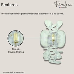 Parcelona French Classic Small 2.5″ Celluloid Set of 2 Jaw Hair Claws for Women