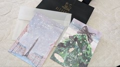 Alexandre de Paris Hair Clips Set of 2 with Christmas Card, Black Flower & Tort