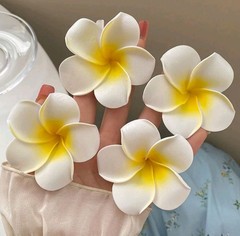White & Yellow Plumeria Flower Hair Clips – Set of 4