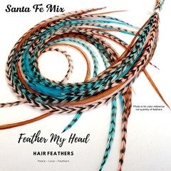 Feather Hair Extensions, 6 Pc, Optional Kit, Short – Mega Long, Santa Fe
