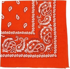 Motique Accessories Extra Large Paisley Bandana 27×27 Inch