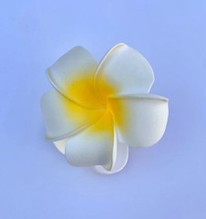 Hawaiian Design Plumeria Tropical Hair Clip Beach Luau Foam Accessories