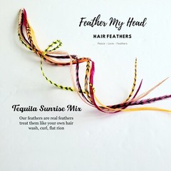Feather Hair Extensions, 6 Pc, Optional Kit, Short – Mega Long, Tequila Sunrise