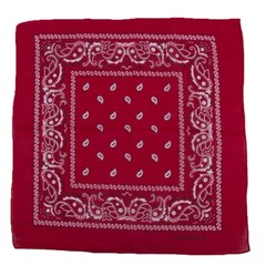 Paisley Print Bandana Cotton Blend Head Warp neck Scarf Hand Towel US Women Girl