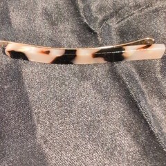 Tortoise Pattern Oval Hair Barrette, Plastic Metal Animal Print Women’s #177