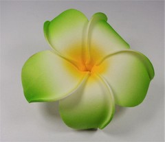 HAWAIIAN WEDDING ALOHA FLOWER GREEN WHITE AND YELLOW PLUMERIA LUAU HAIR CLIP