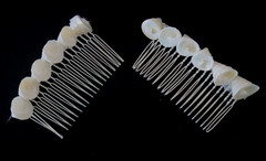 Sea Shell Hair Comb Set of 2 all Natural shells 8 varieties 3″ x 1.5″