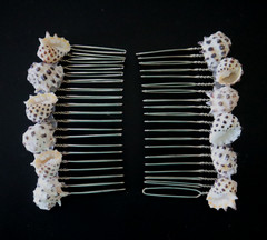 Sea Shell Hair Comb Set of 2 all Natural shells 8 varieties 3″ x 1.5″