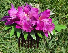 Hawaii Design Plumeria Layered Multicolored Tropical Foam Hair Clip Beach Luau